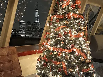 Jouluaaton illallisristeilyt New Yorkissa - Joulukuusi