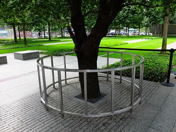 9/11 Memorial Ground Zerolla New Yorkissa - selviytyjien puu