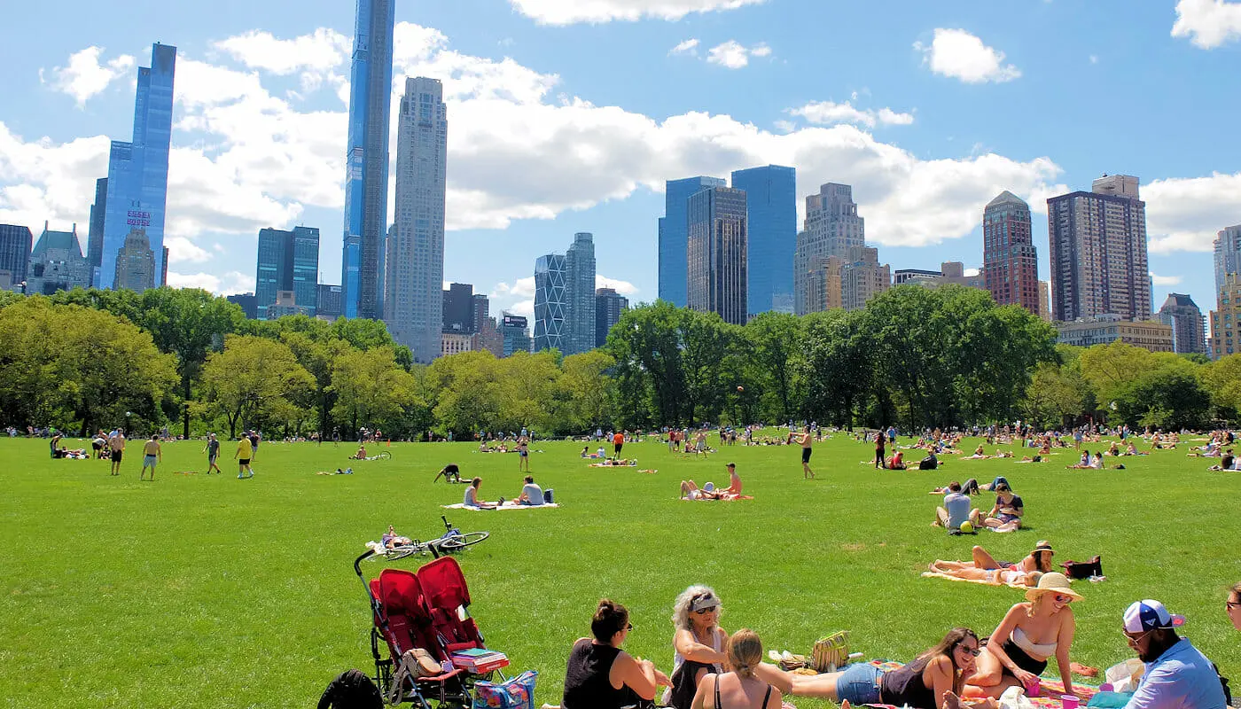 Central Park New Yorkissa - Sheep Meadow