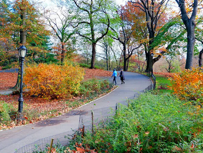 Puistot New Yorkissa