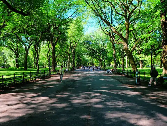 Labor Day New Yorkissa - Kävelyllä Central Parkissa