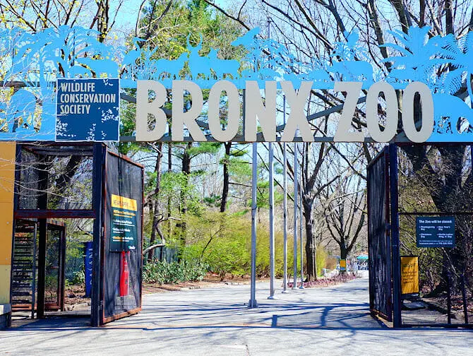 Bronx Zoo New Yorkissa