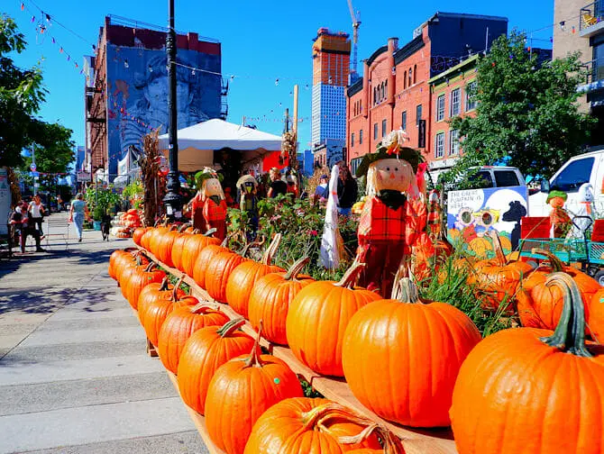 Halloween-kurpitsoita New Yorkissa
