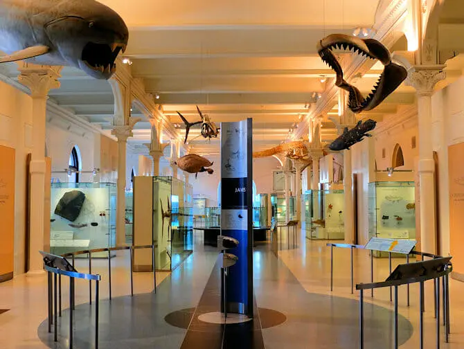 American Museum of Natural History New Yorkissa - Yksityiskierros