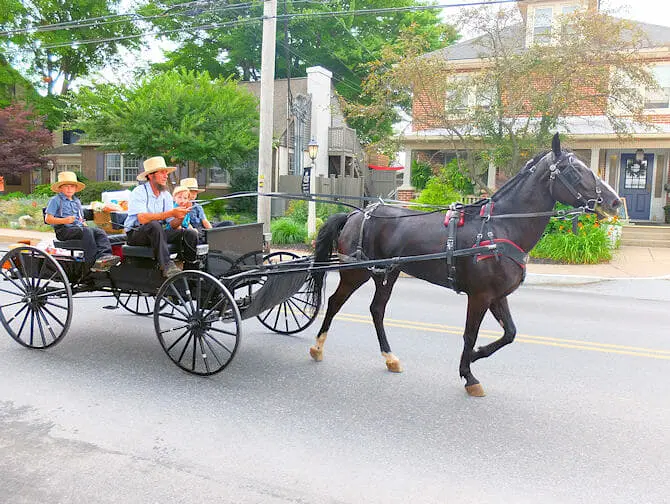 New Yorkista Philadelphiaan ja Amish Countryyn päivämatka - Vieraile amissien luona