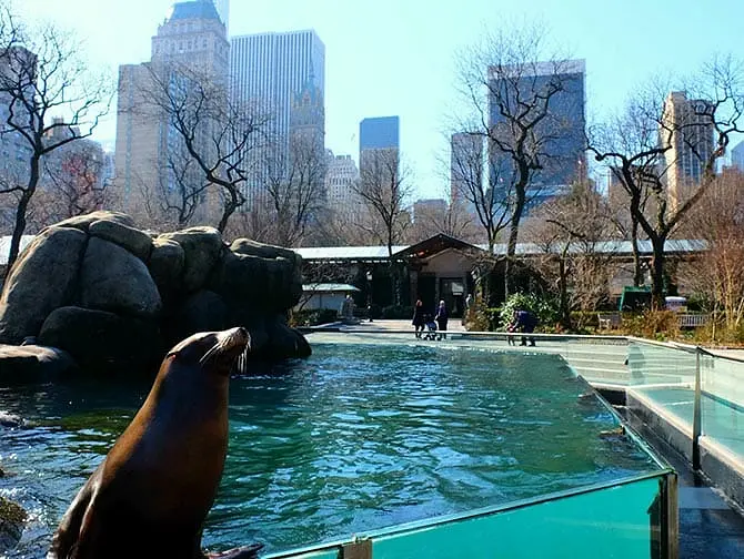 Central Park Zoo liput
