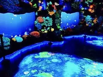 National Geographic Encounter Ocean Odyssey - syva meri