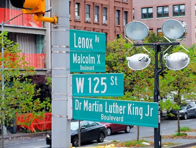 Martin Luther King Jr  Day in New York 1