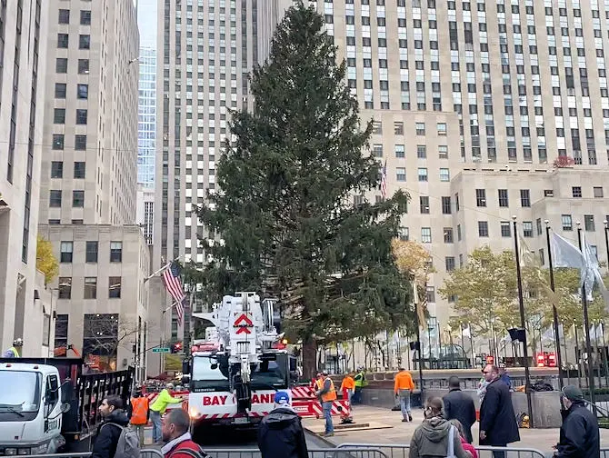 Ericin blogi - Rockefellerin joulukuusi saapuu New Yorkiin!