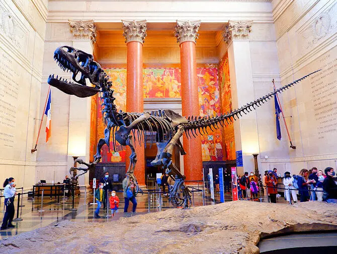 American Museum of Natural History New Yorkissa - T-Rex