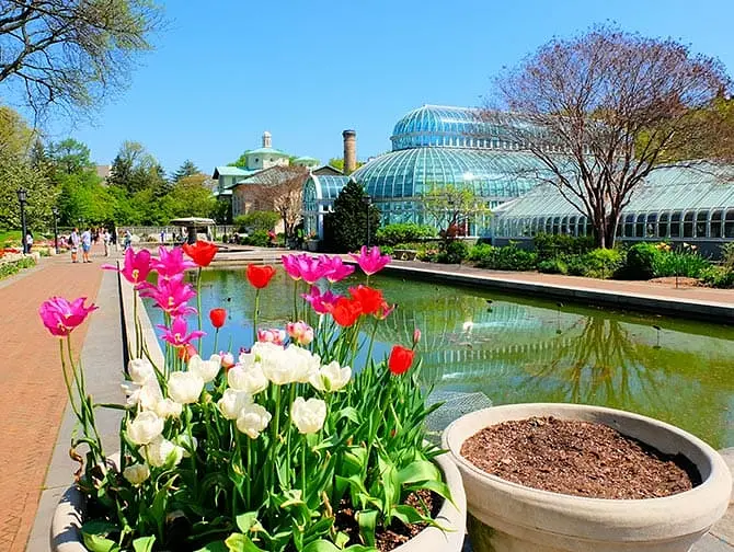 Kasvitieteelliset puutarhat New Yorkissa - Brooklyn Botanic Garden
