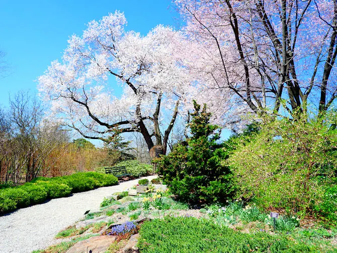 Kasvitieteelliset puutarhat New Yorkissa - New York Botanical Garden Bronxissa