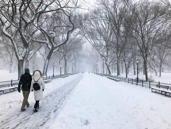 Lunta New Yorkissa