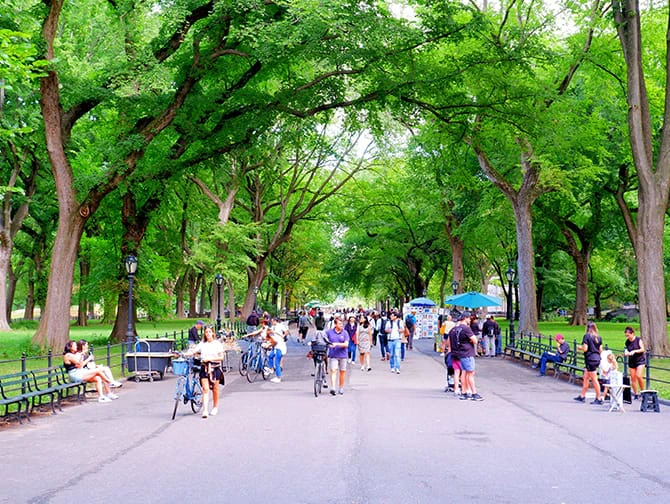 K&auml;velyreitit New Yorkissa - Central Park