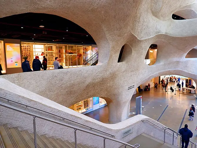 American Museum of Natural History New Yorkissa - Laajennus
