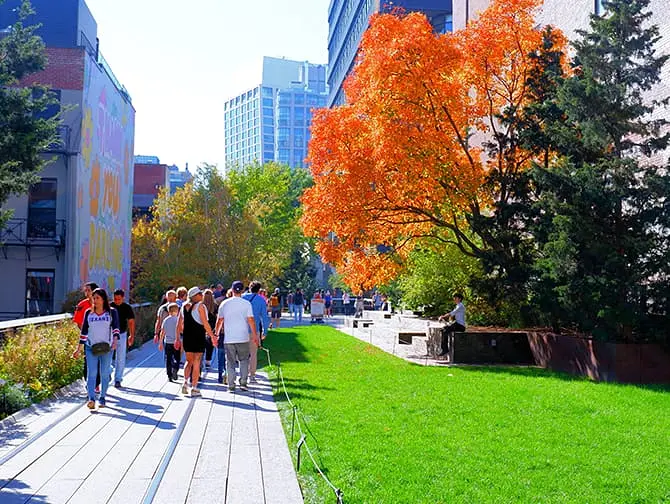 High Line Park New Yorkissa - Luonto