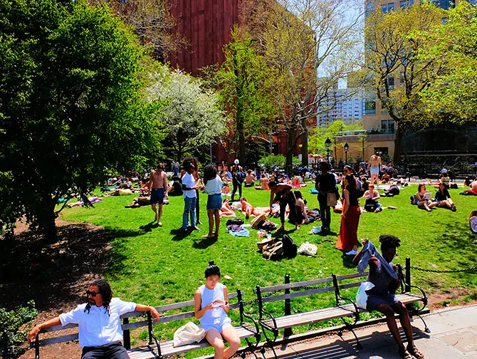 Washington Square Park New Yorkissa - Vilkas puisto Greenwich Villagessa