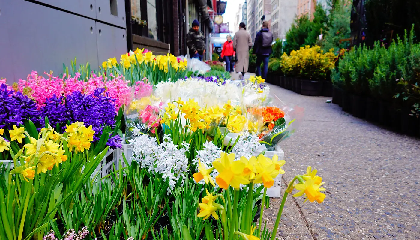 Hotellit Midtown Manhattanilla - Cambria Hotel New York Chelsea