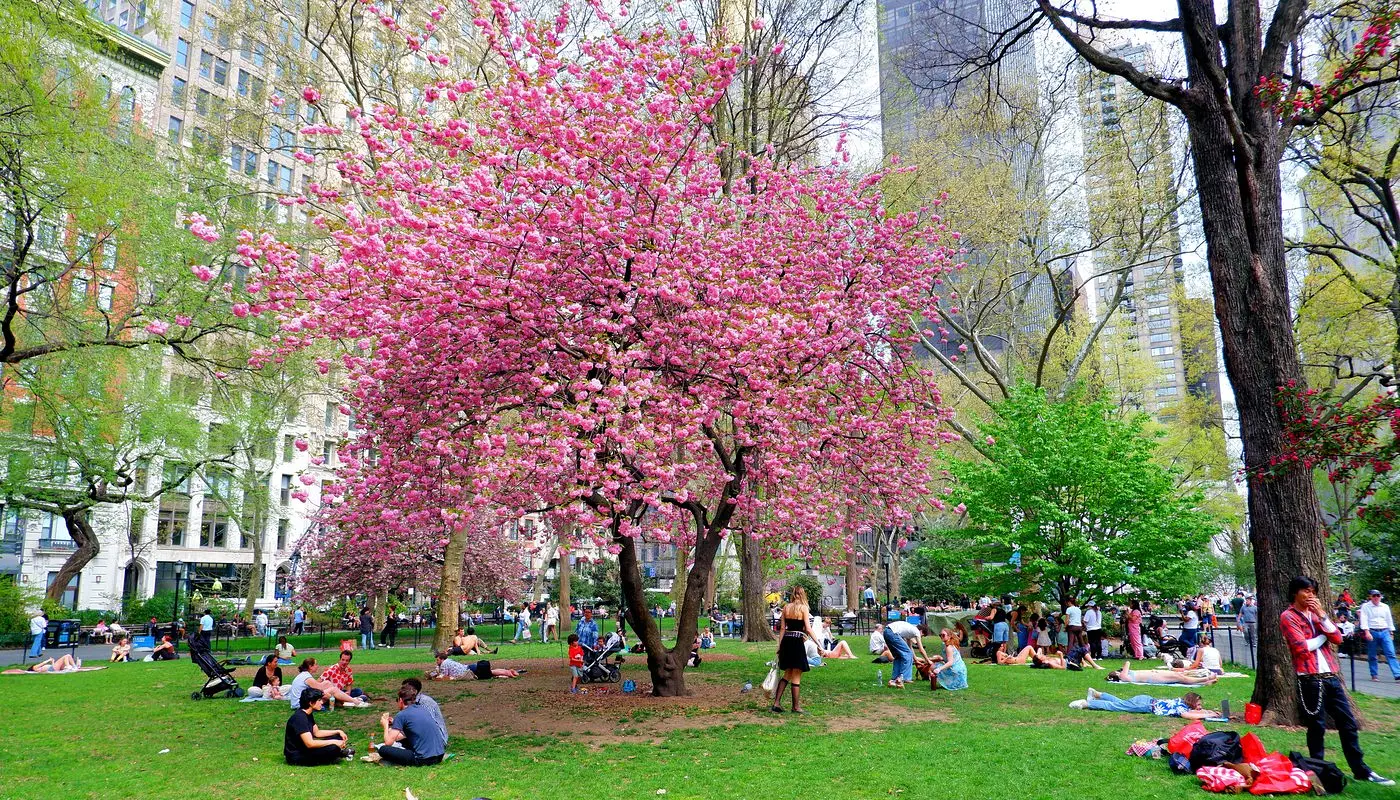 Madison Square Park New Yorkissa - Newyorkilaisten rentoutumispaikka