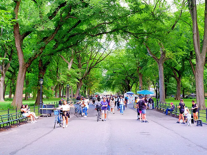 Kävelyreitti Central Park New Yorkissa